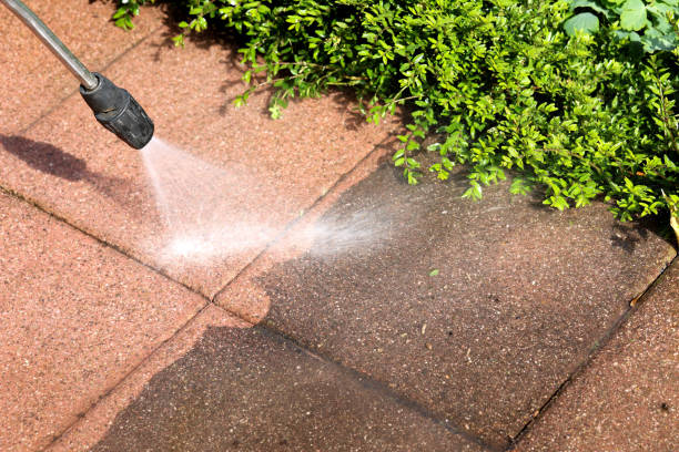 Best Pressure Washing Driveway  in Balcones Heights, TX